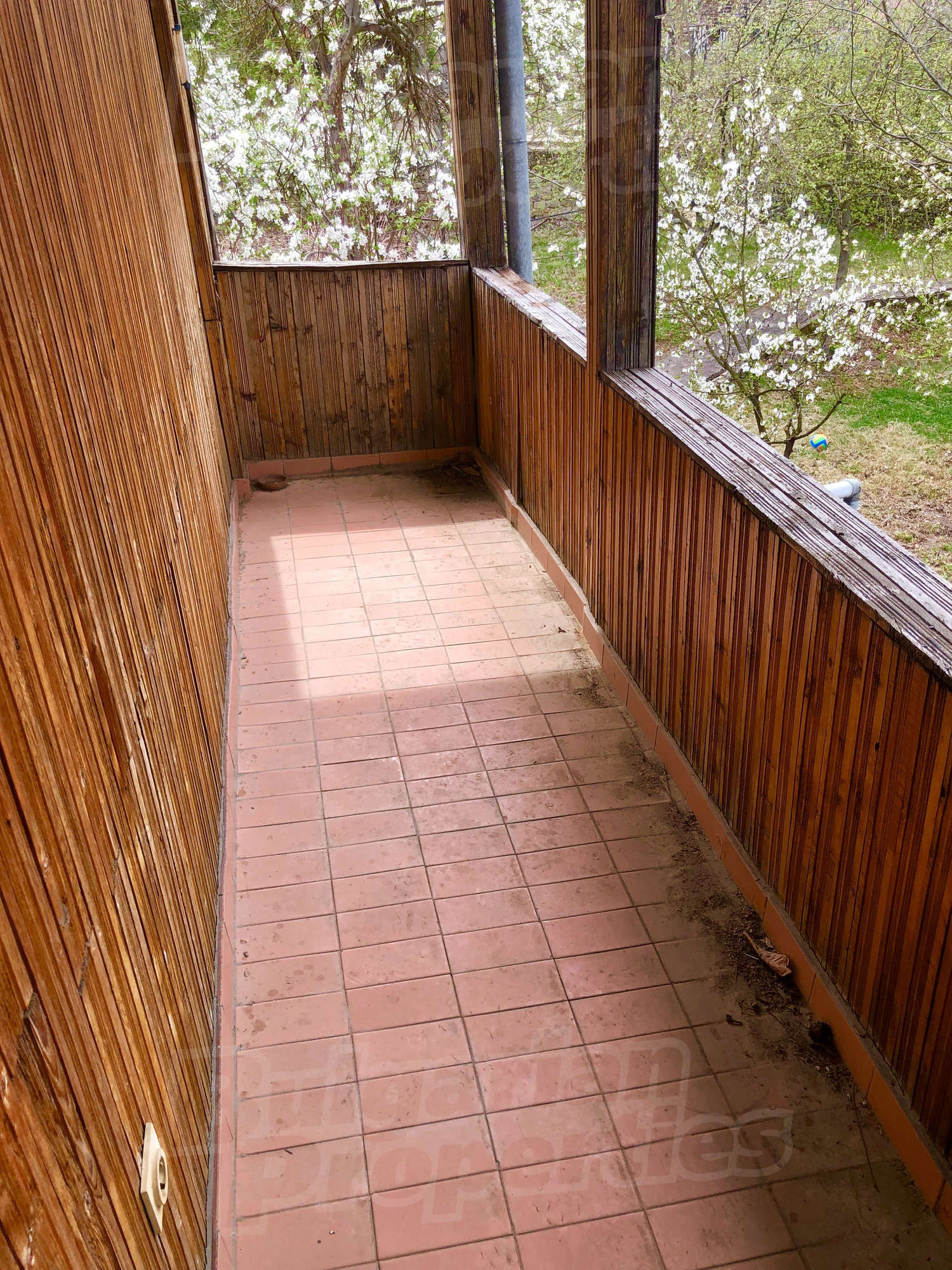 Gallery Picture 17