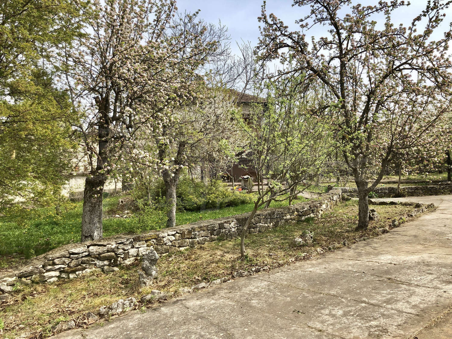 Gallery Picture 19