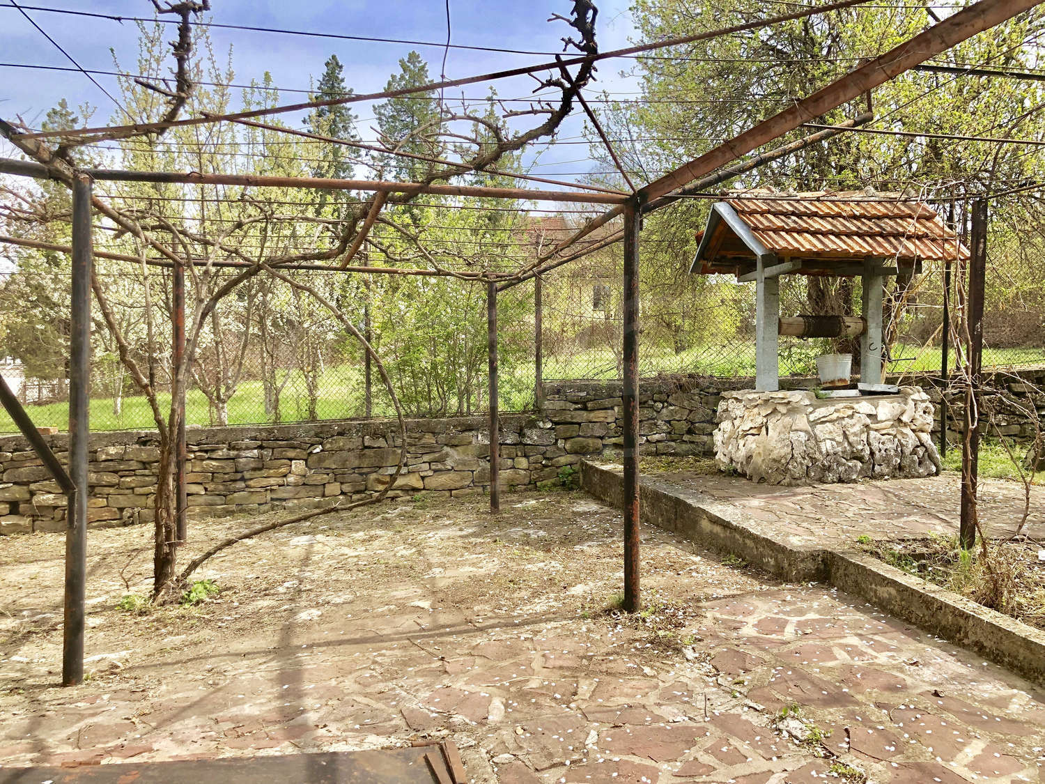 Gallery Picture 25