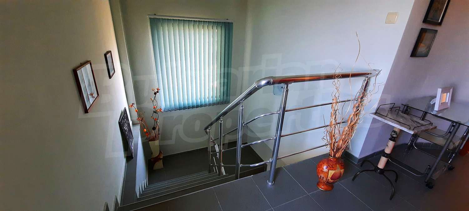 Gallery Picture 23