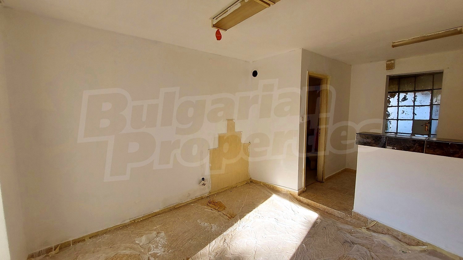 Gallery Picture 5