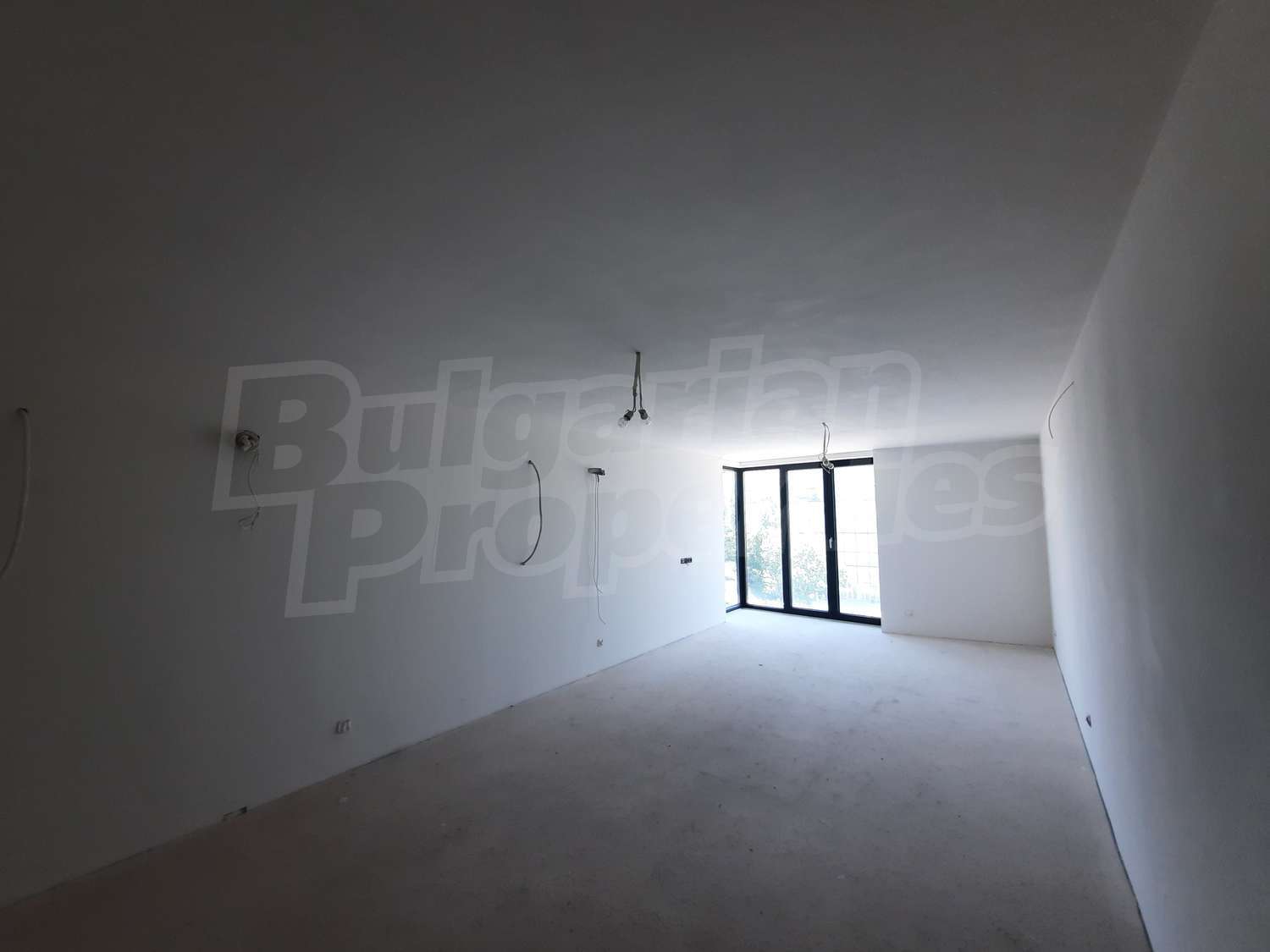 Gallery Picture 14