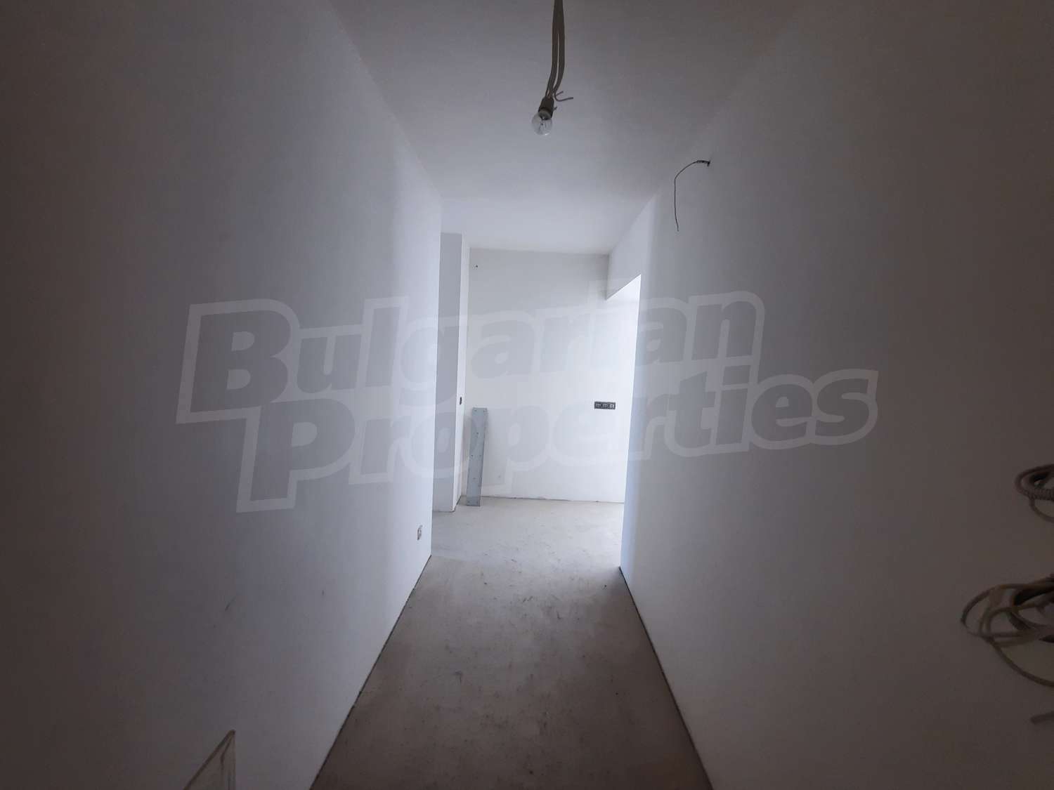 Gallery Picture 17