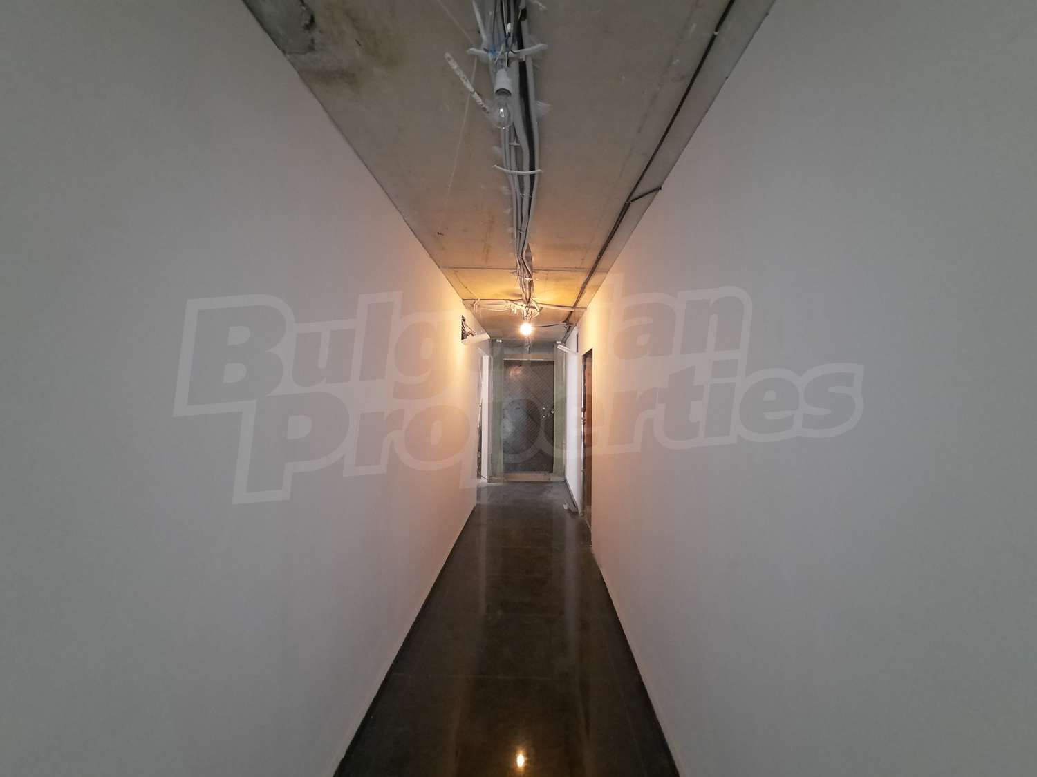 Gallery Picture 19