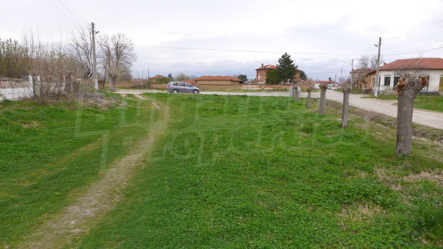 Gallery Picture 19