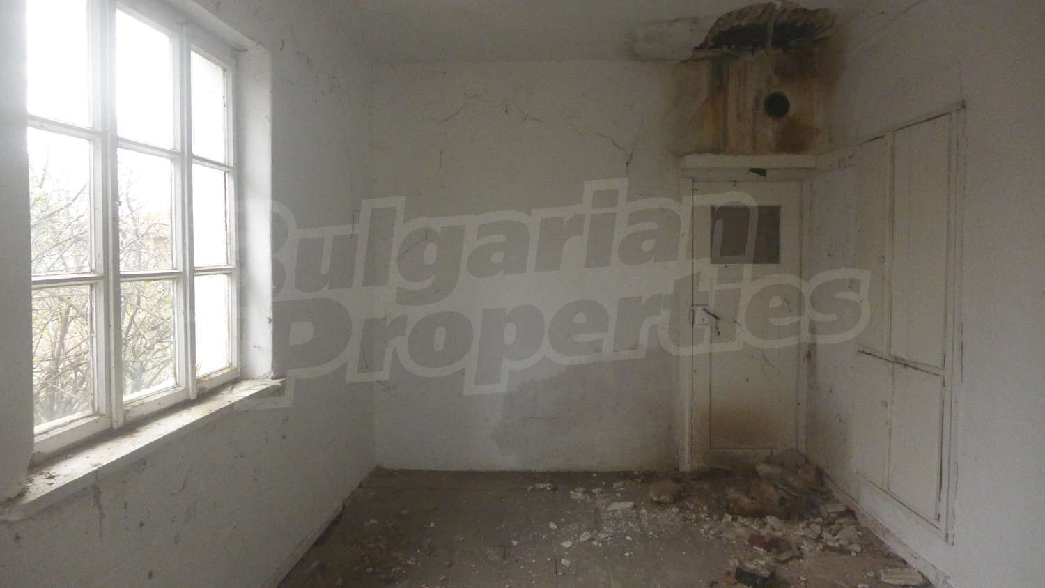 Gallery Picture 8