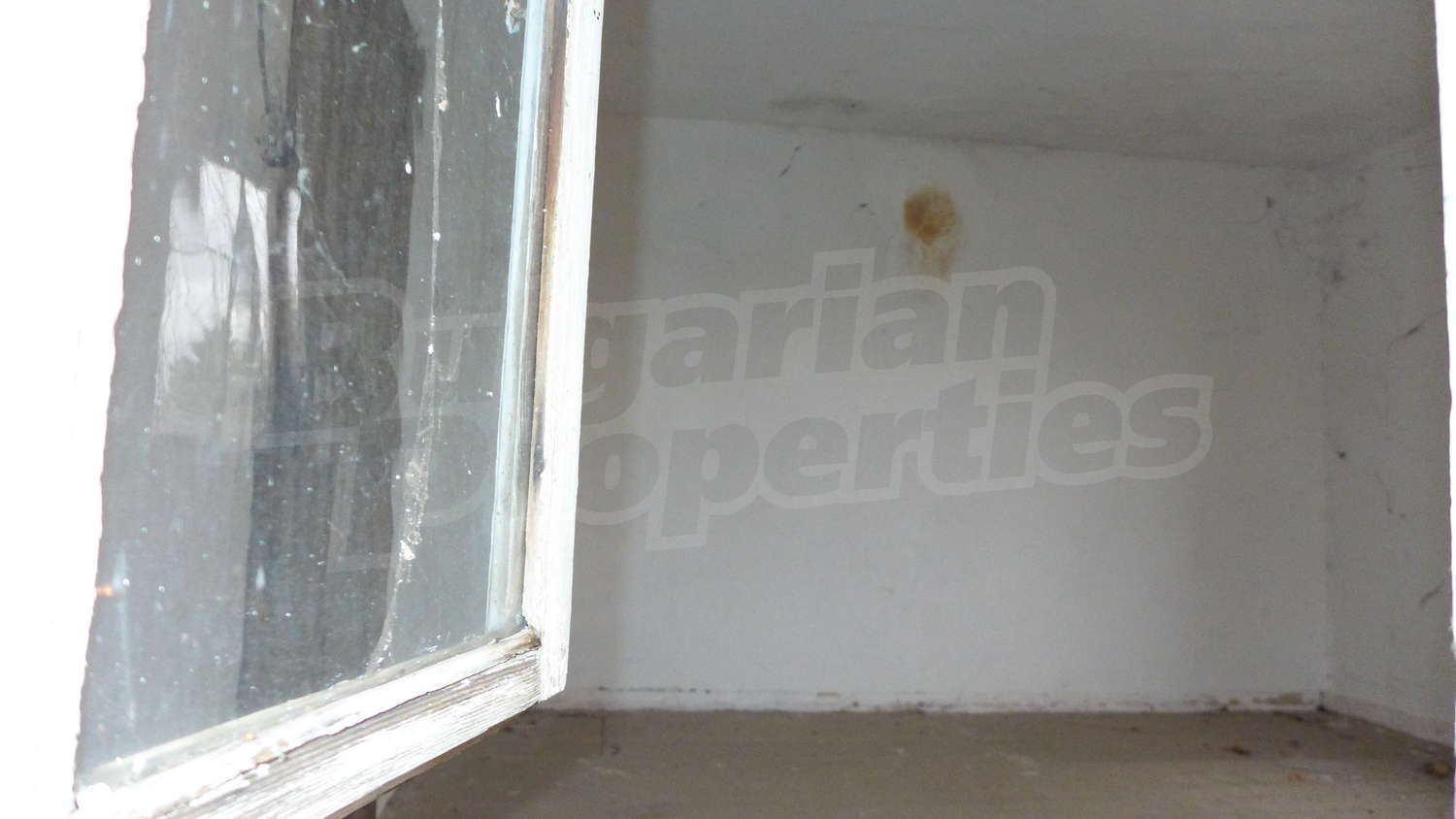 Gallery Picture 9
