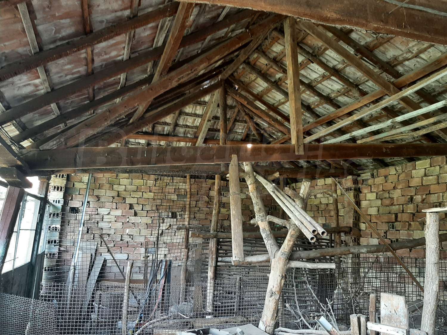 Gallery Picture 19