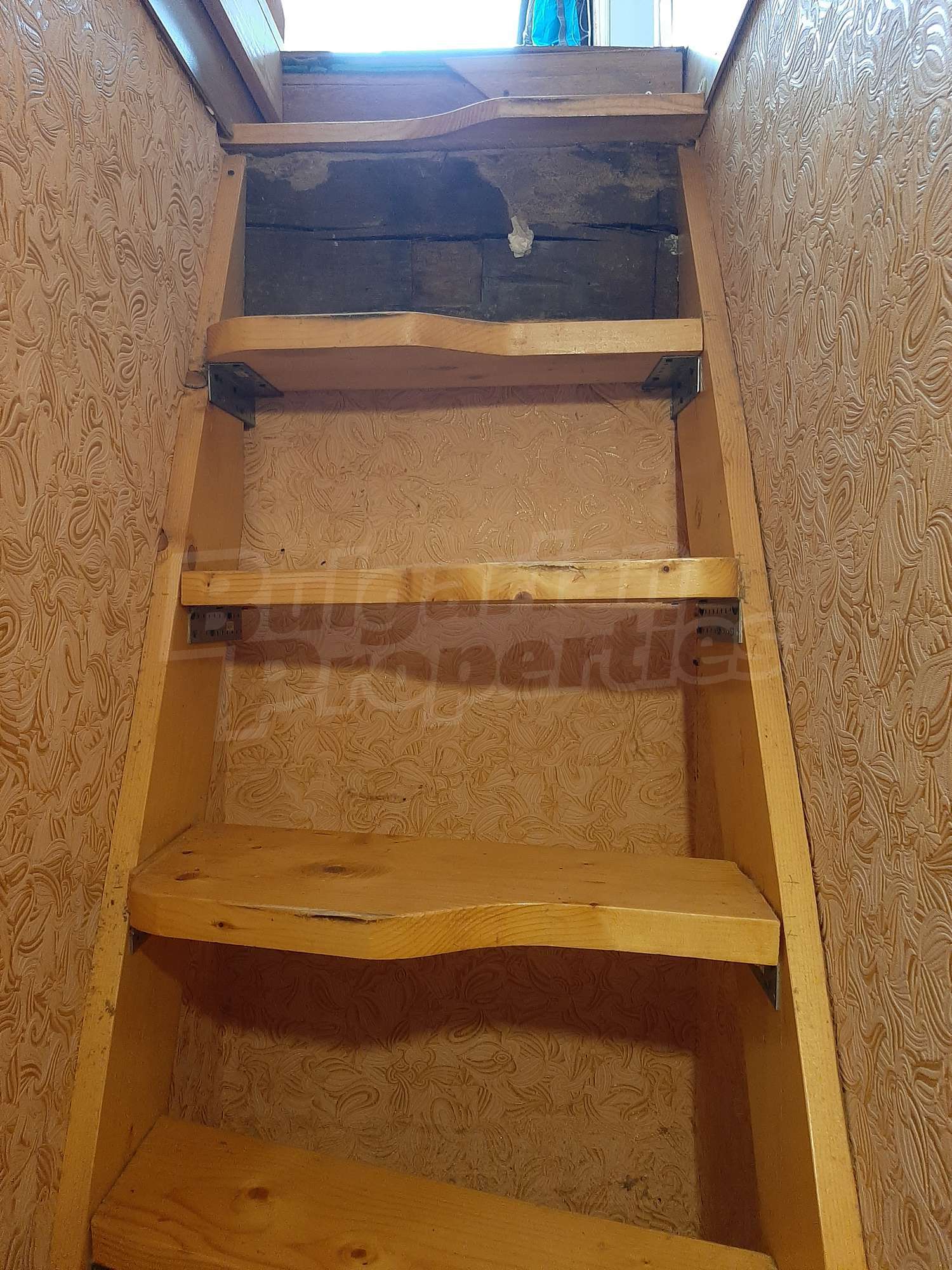 Gallery Picture 16