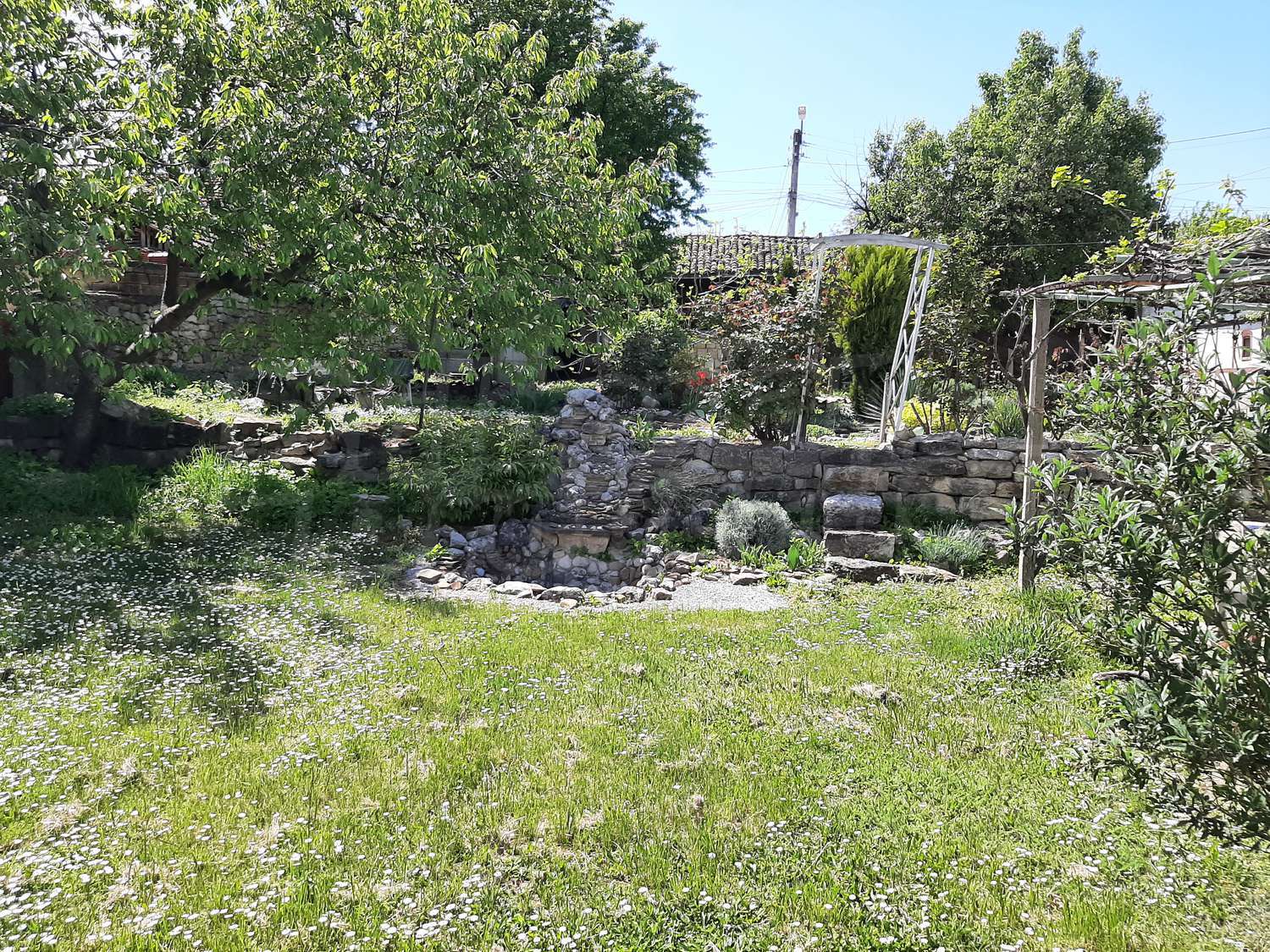 Gallery Picture 26