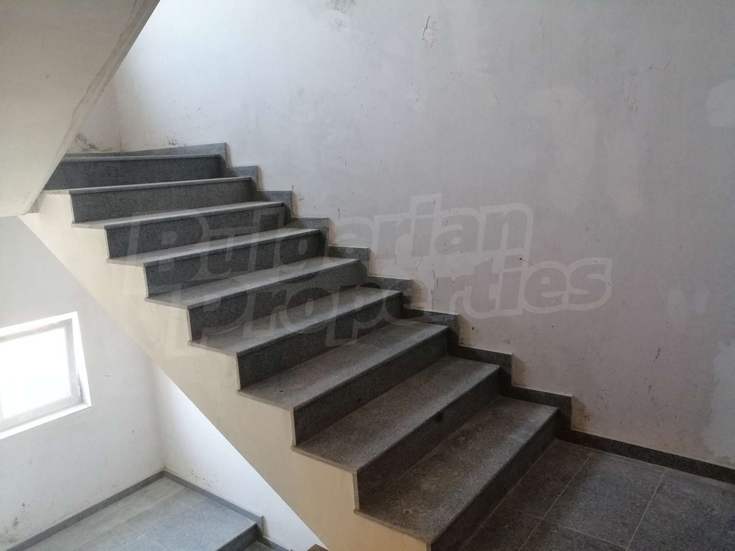 Gallery Picture 10