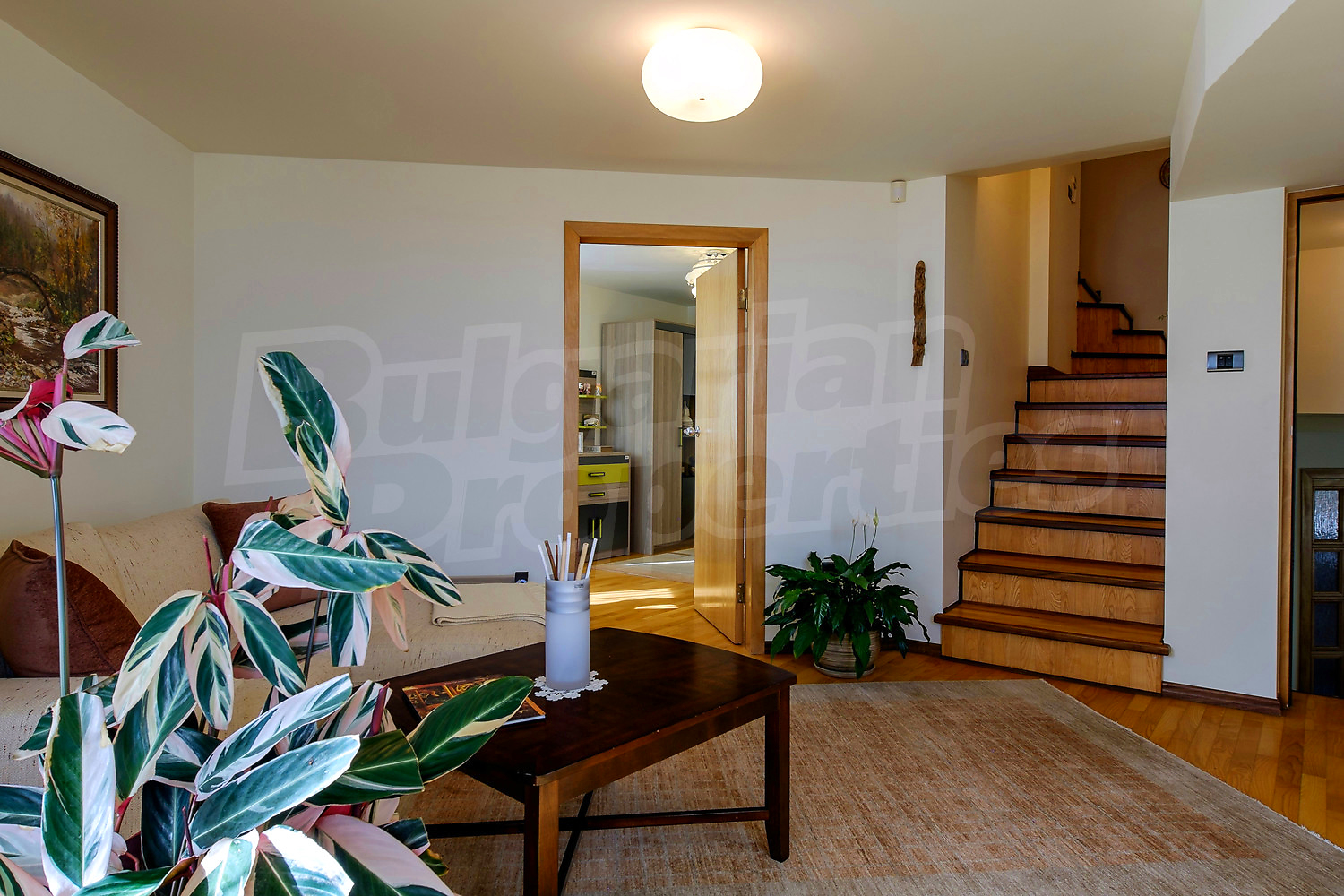 Gallery Picture 12