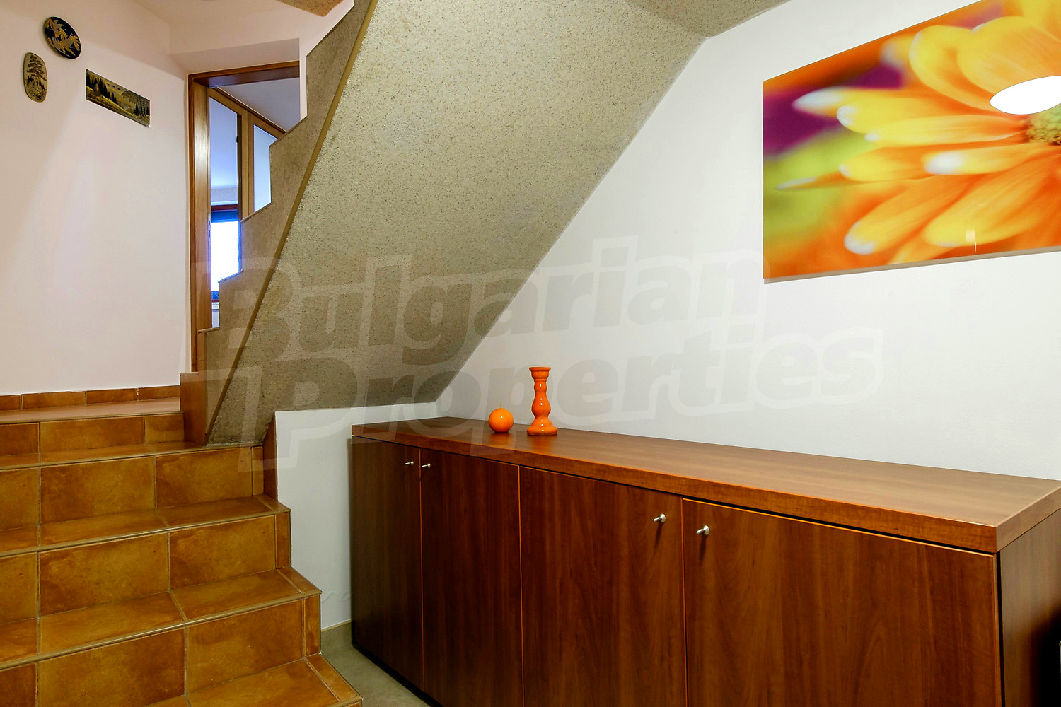 Gallery Picture 50