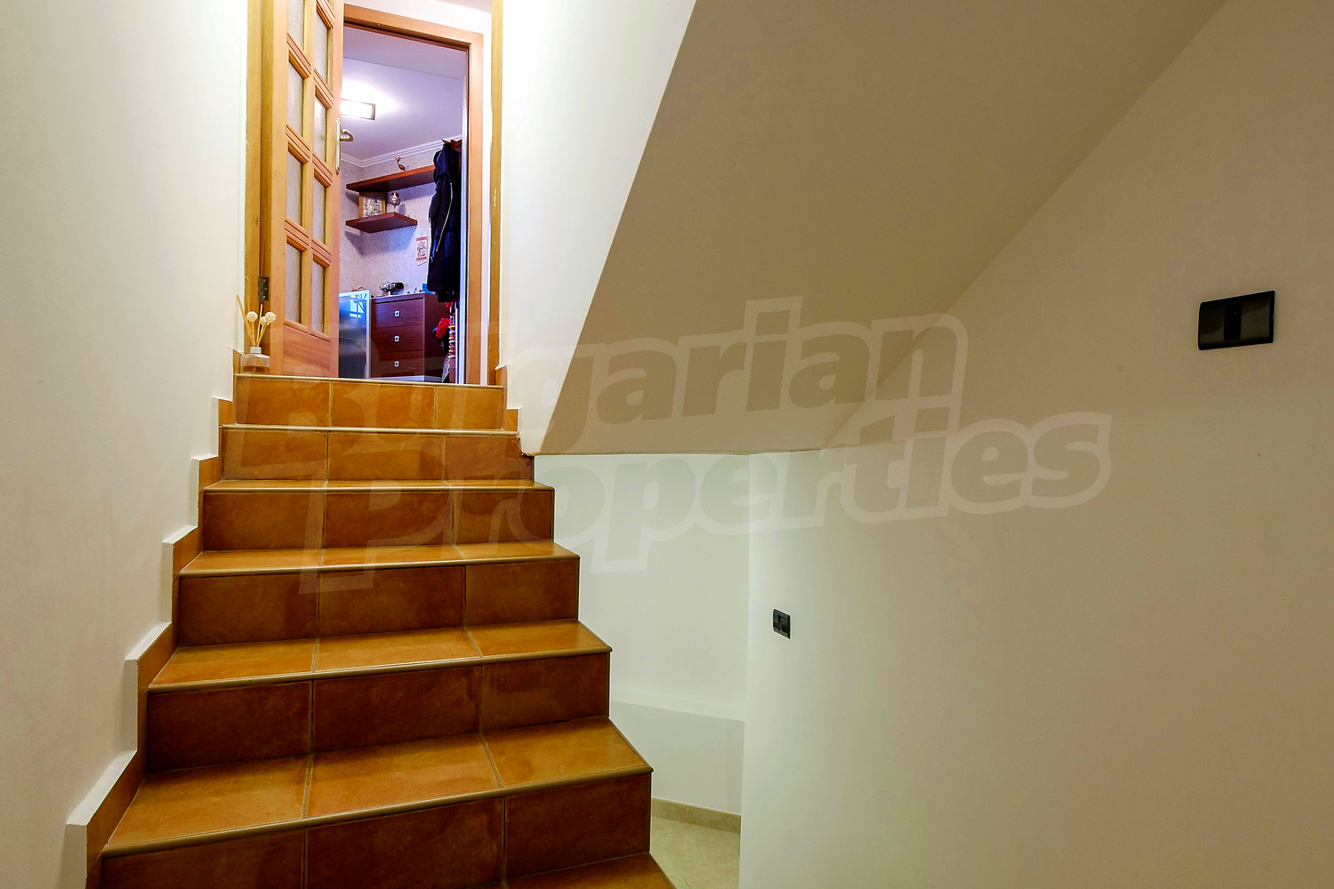 Gallery Picture 51