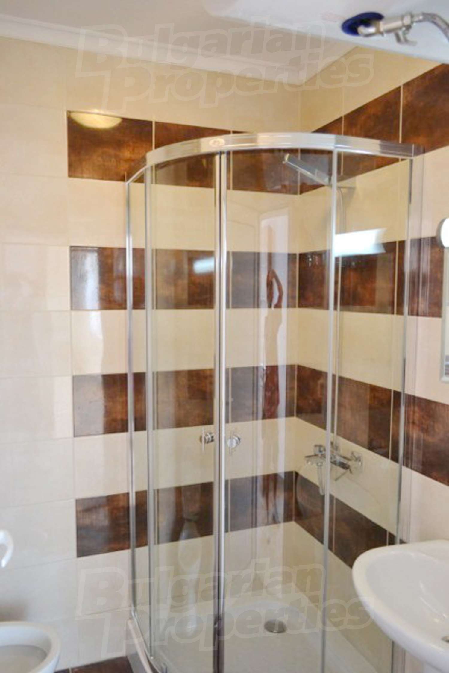 Gallery Picture 10