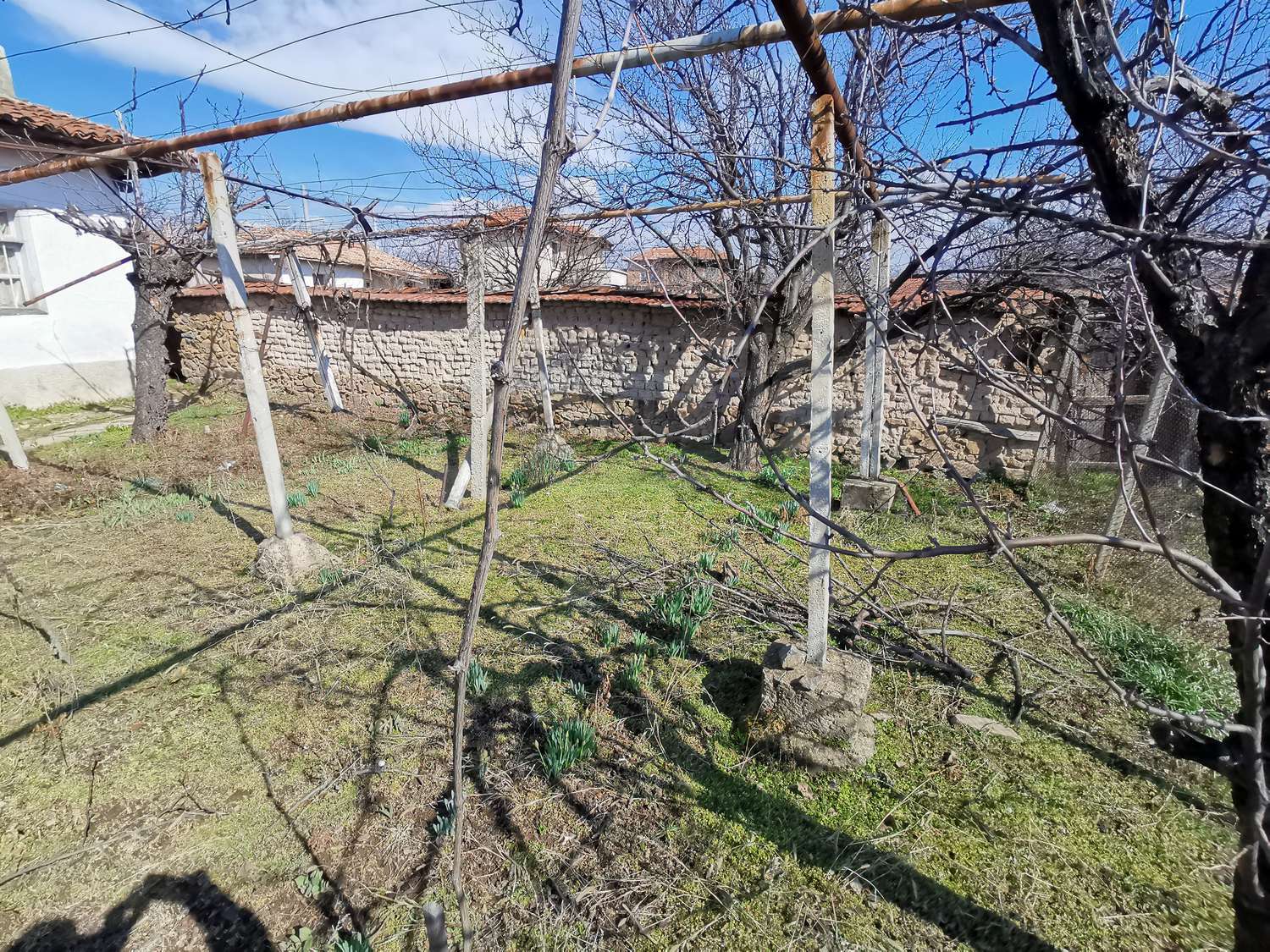 Gallery Picture 18