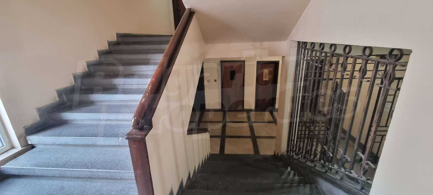 Gallery Picture 16