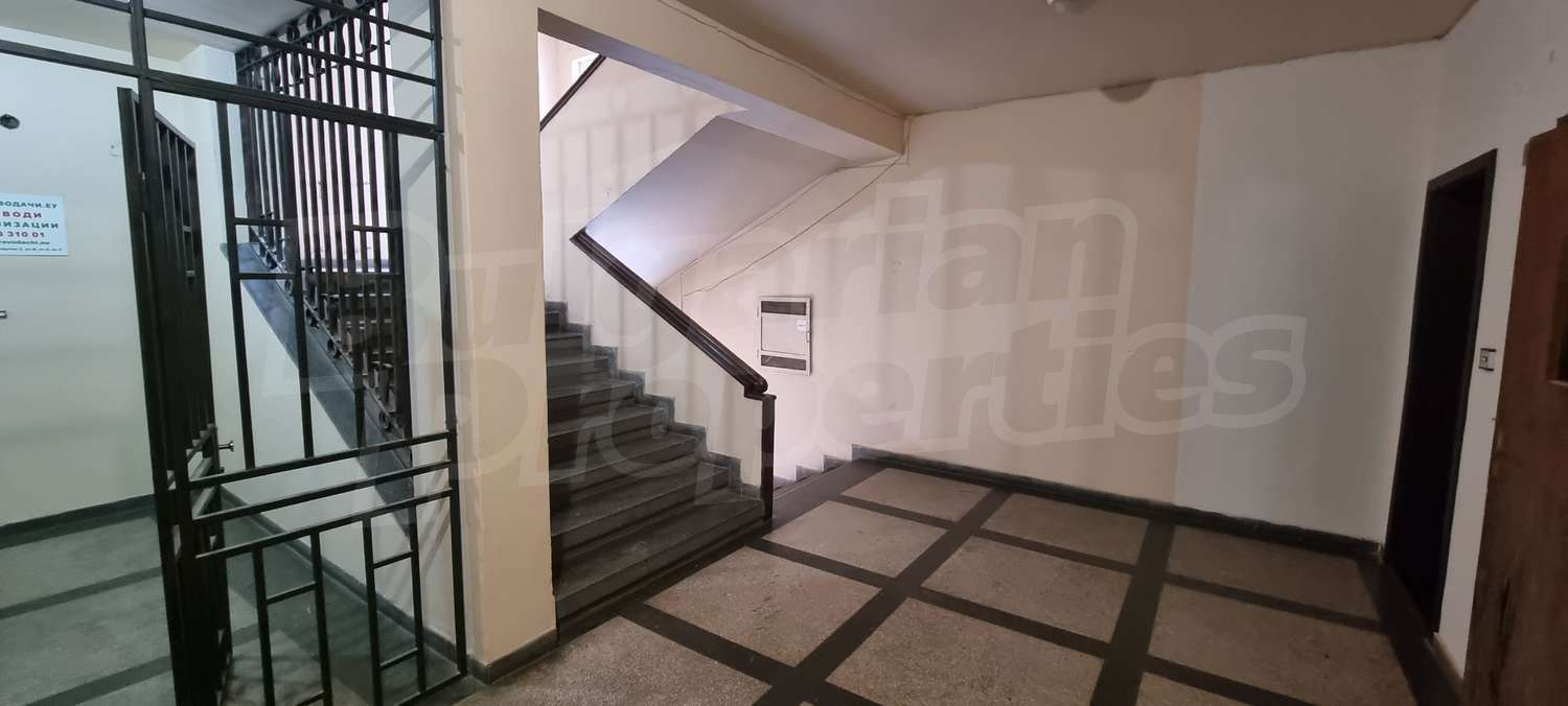 Gallery Picture 17