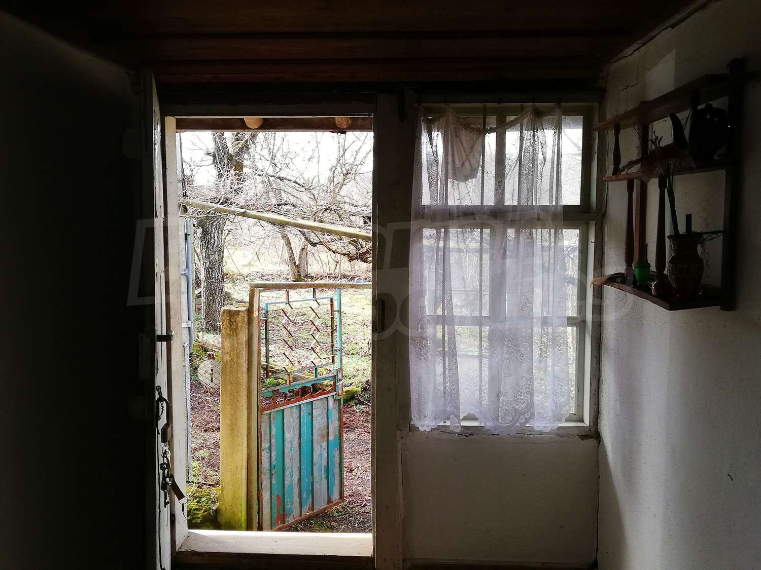 Gallery Picture 14