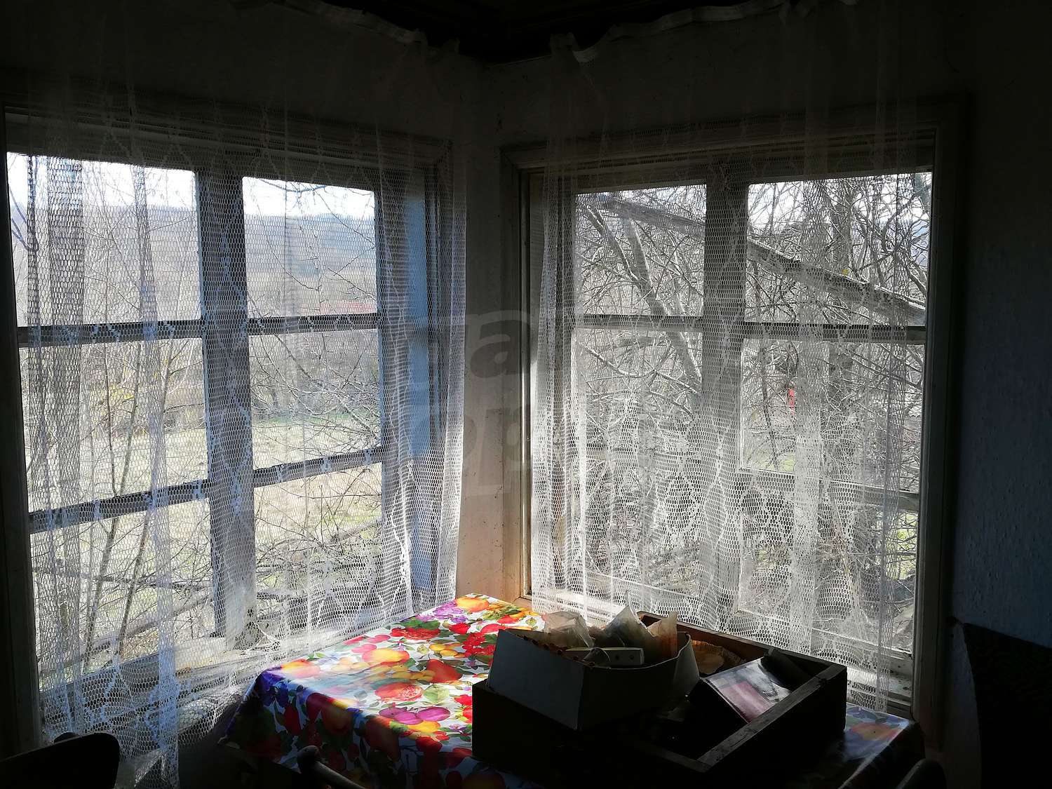 Gallery Picture 7