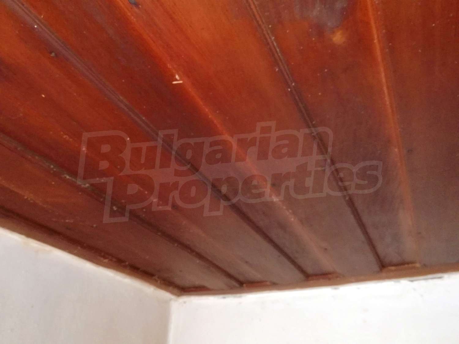 Gallery Picture 8