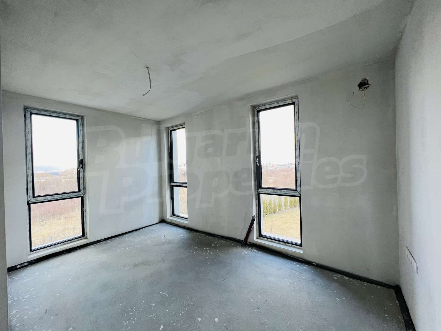 Gallery Picture 24