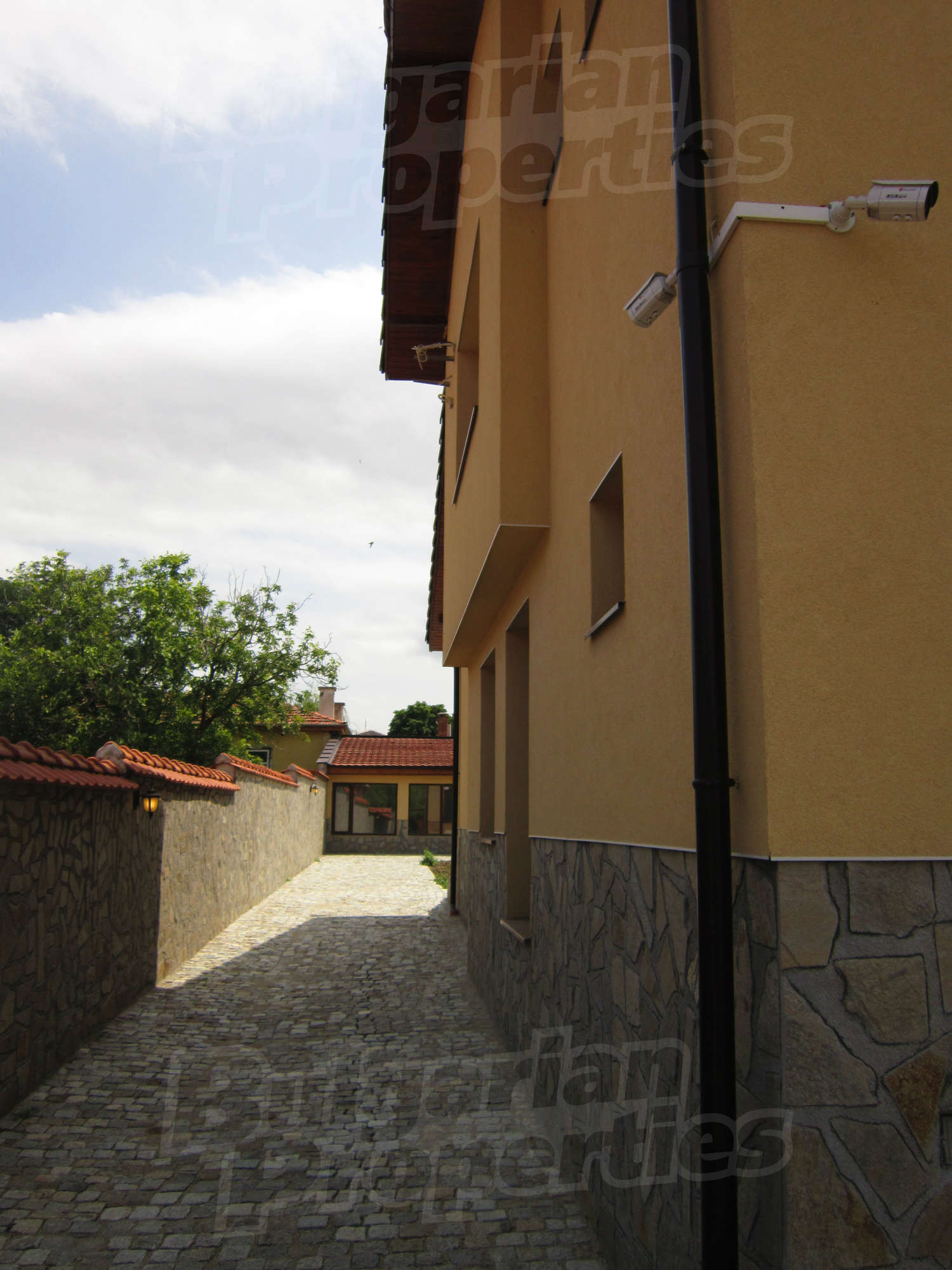 Gallery Picture 53