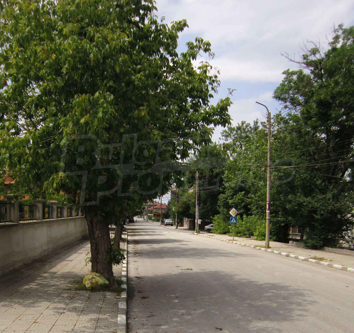 Gallery Picture 63