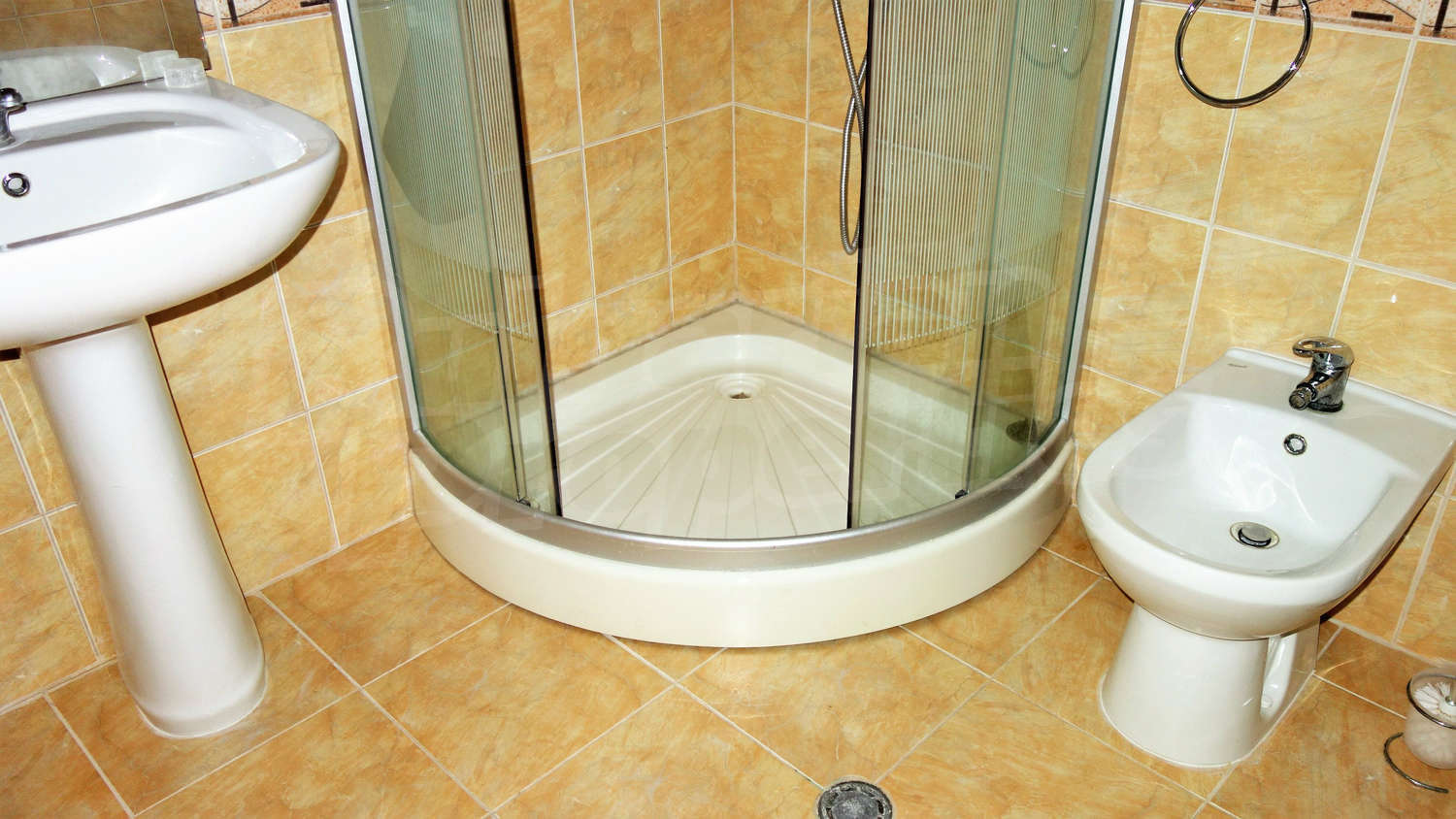 Gallery Picture 26