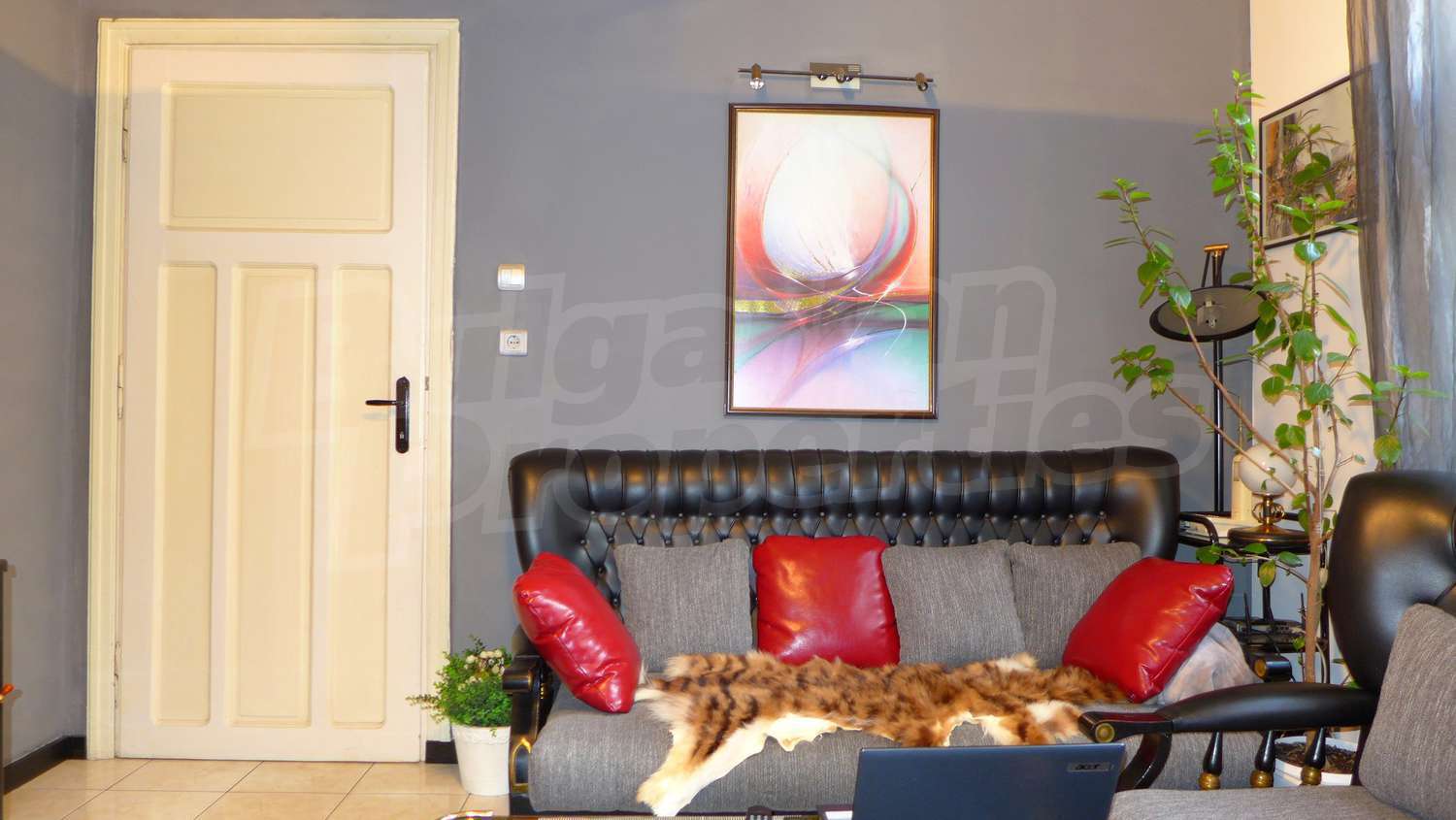 Gallery Picture 13