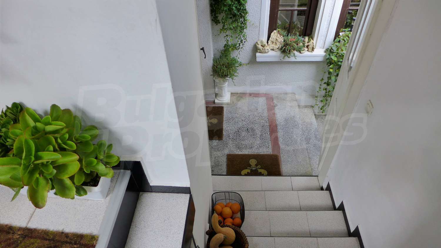Gallery Picture 24