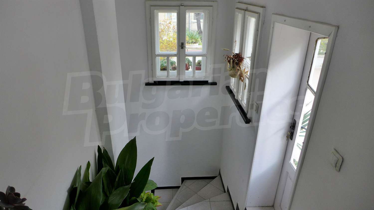 Gallery Picture 26