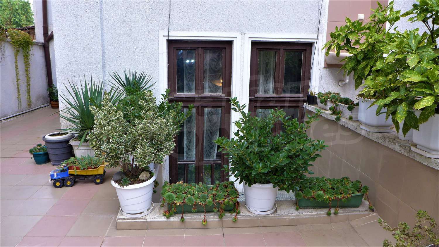 Gallery Picture 48