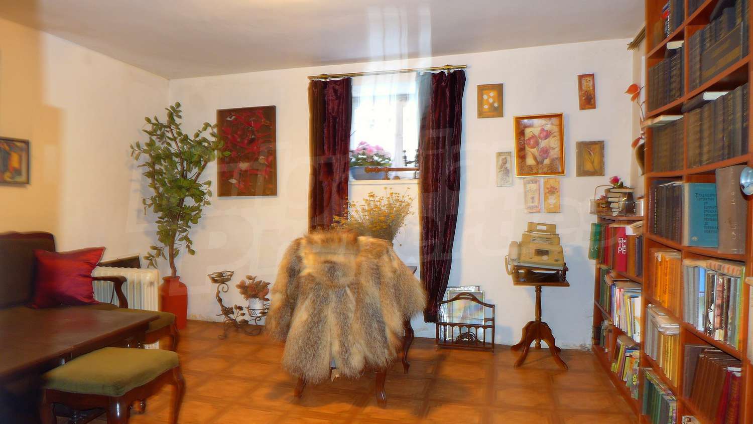Gallery Picture 69