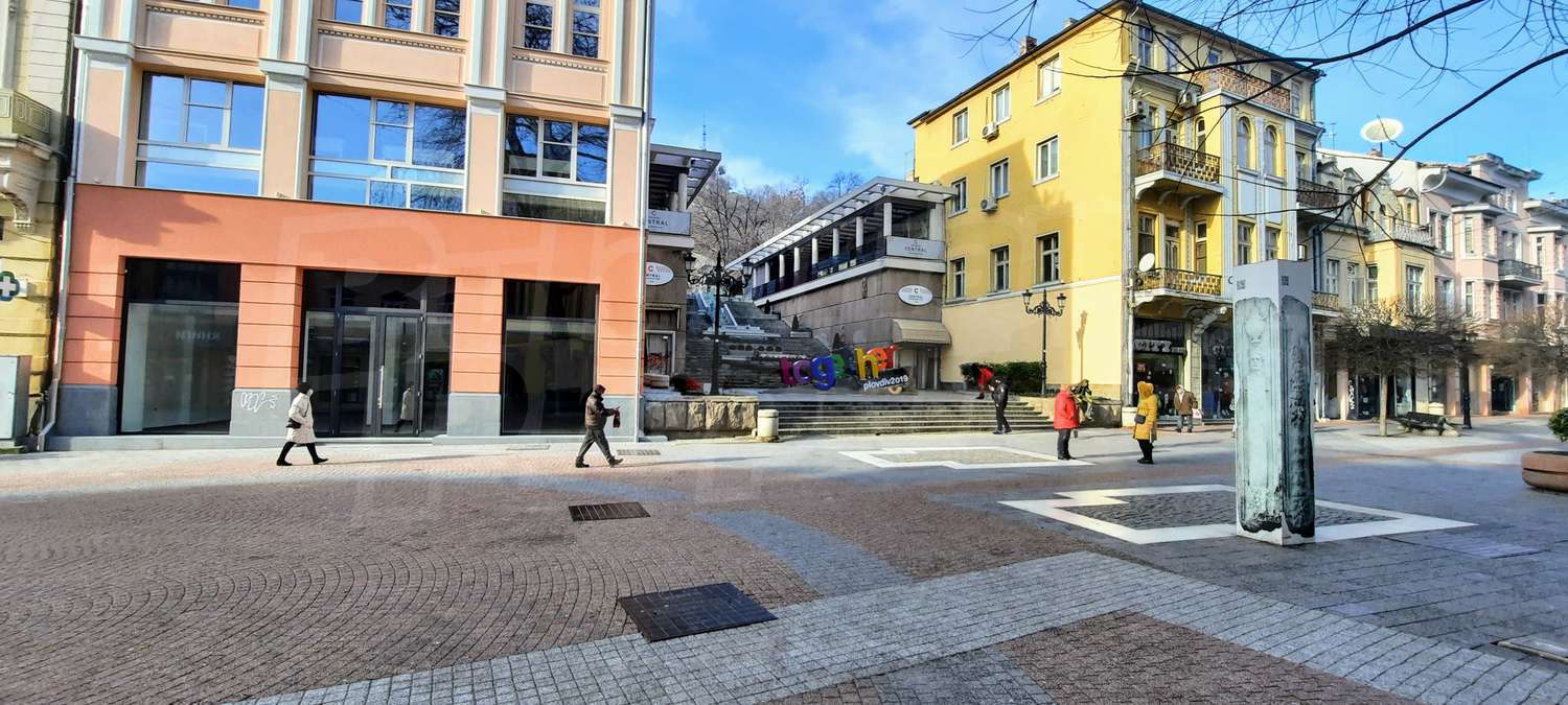 Gallery Picture 13