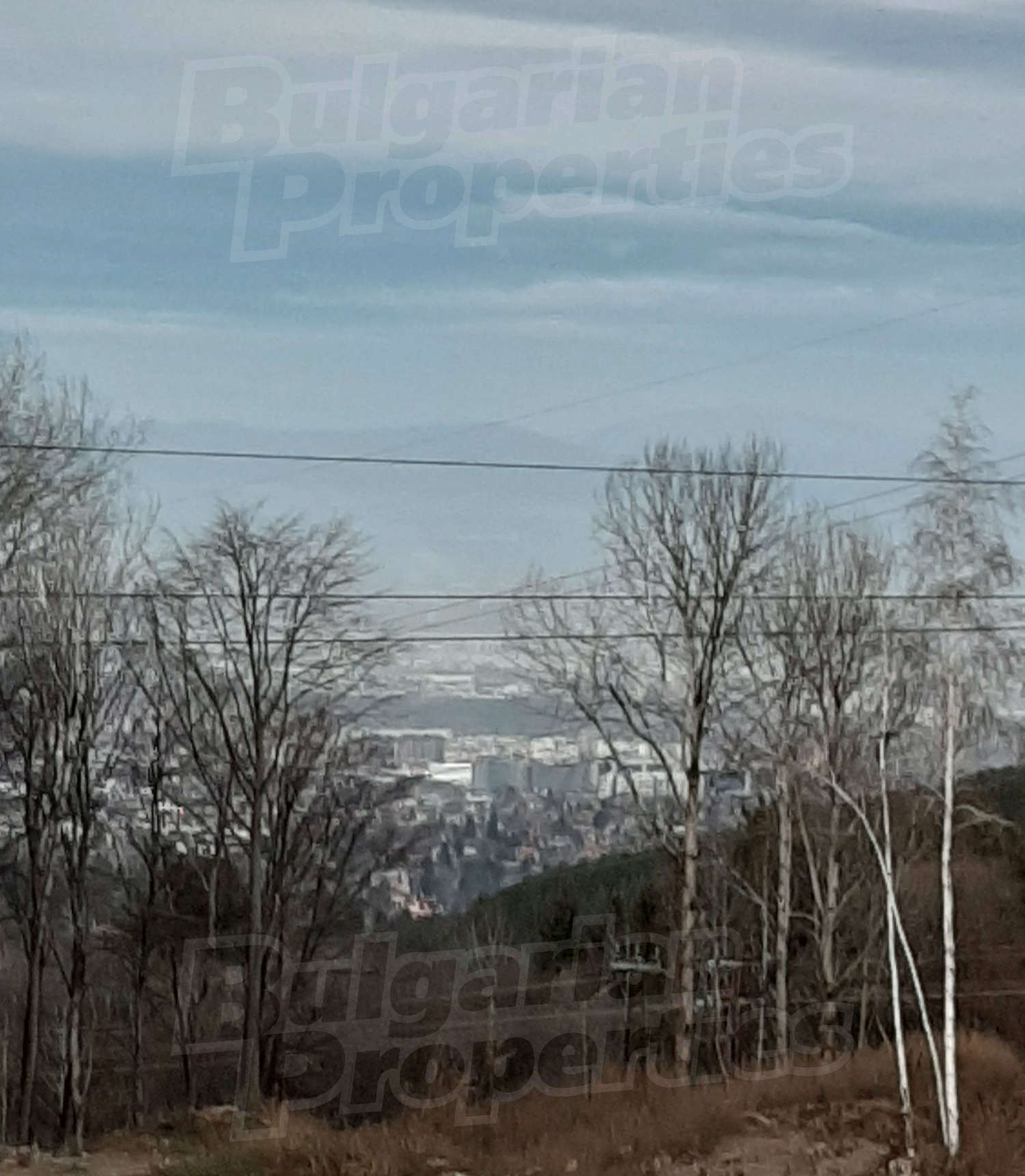 Gallery Picture 11