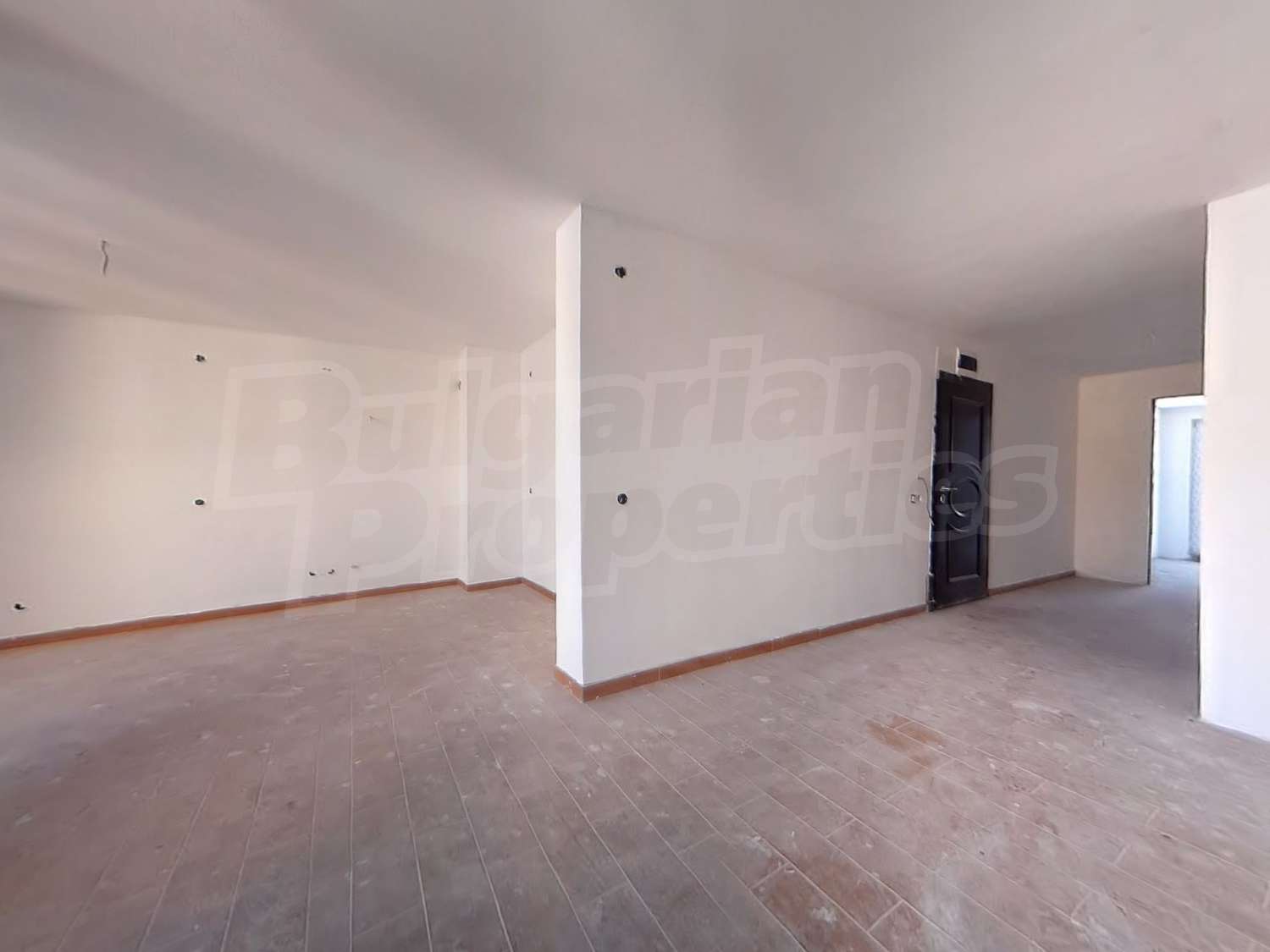 Gallery Picture 16