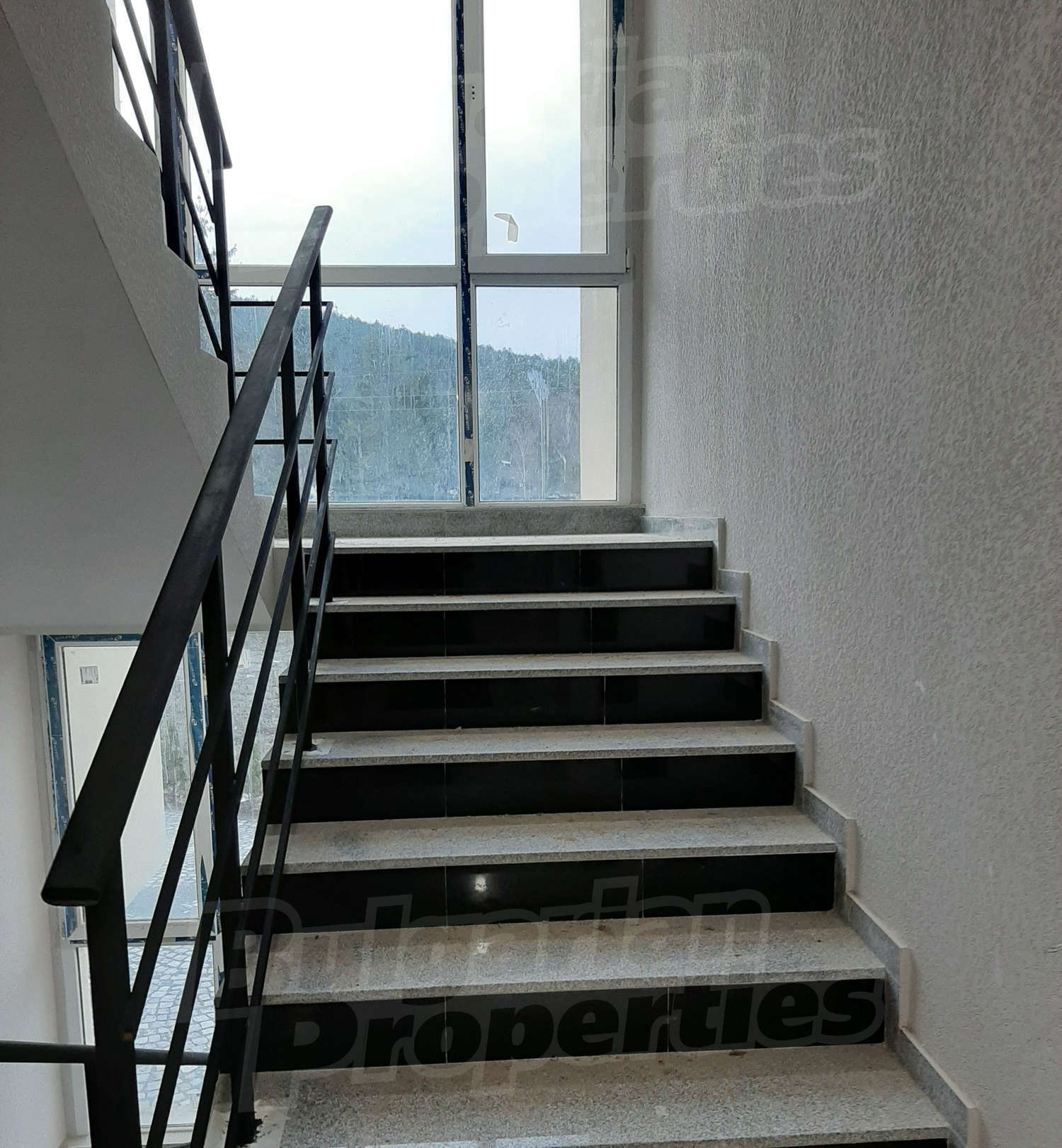 Gallery Picture 10