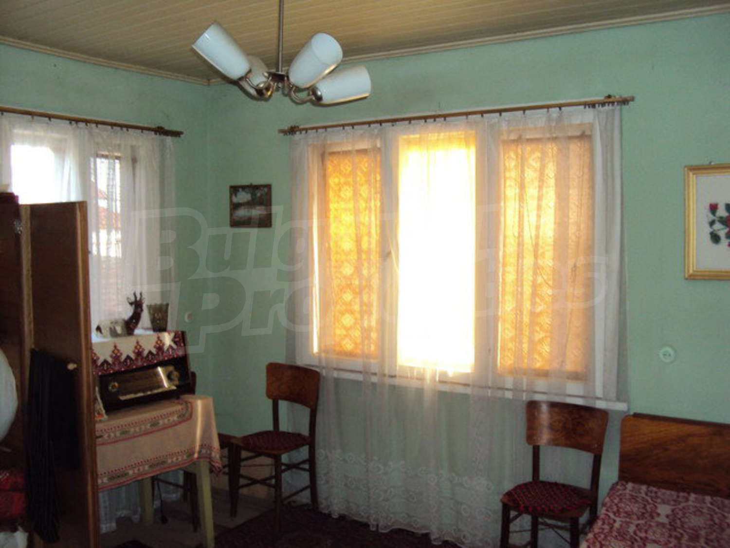 Gallery Picture 12