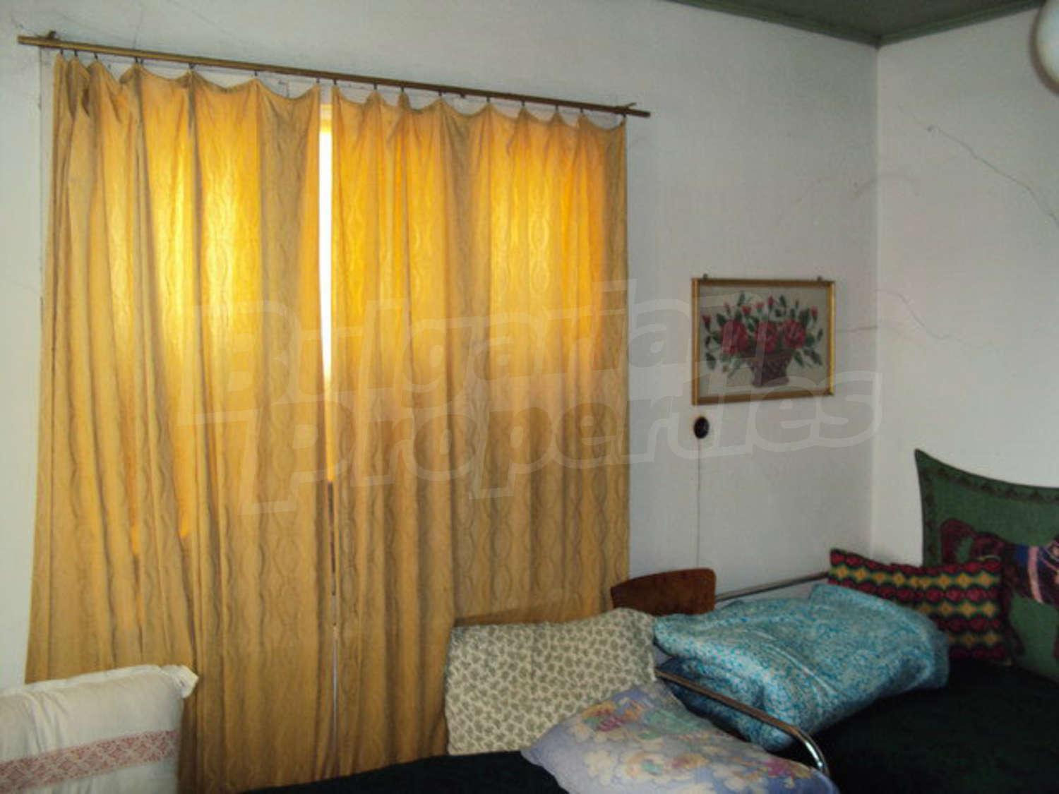 Gallery Picture 14