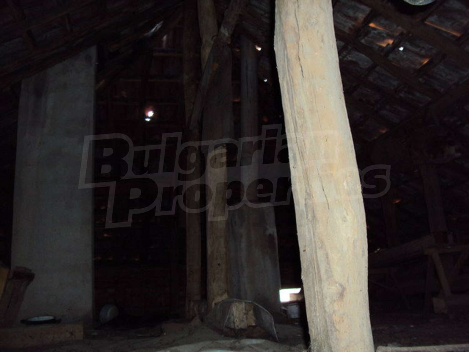 Gallery Picture 19