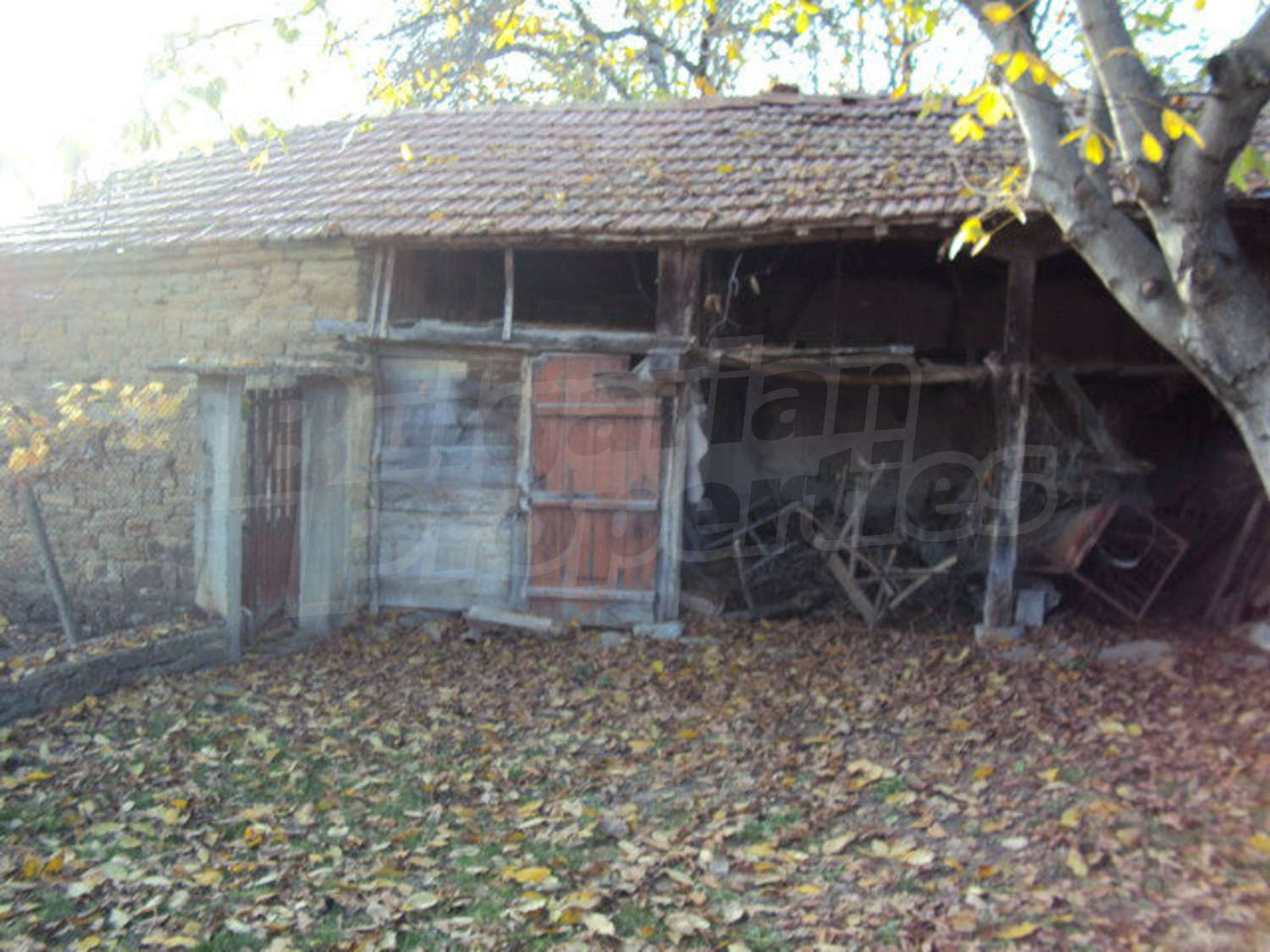 Gallery Picture 30