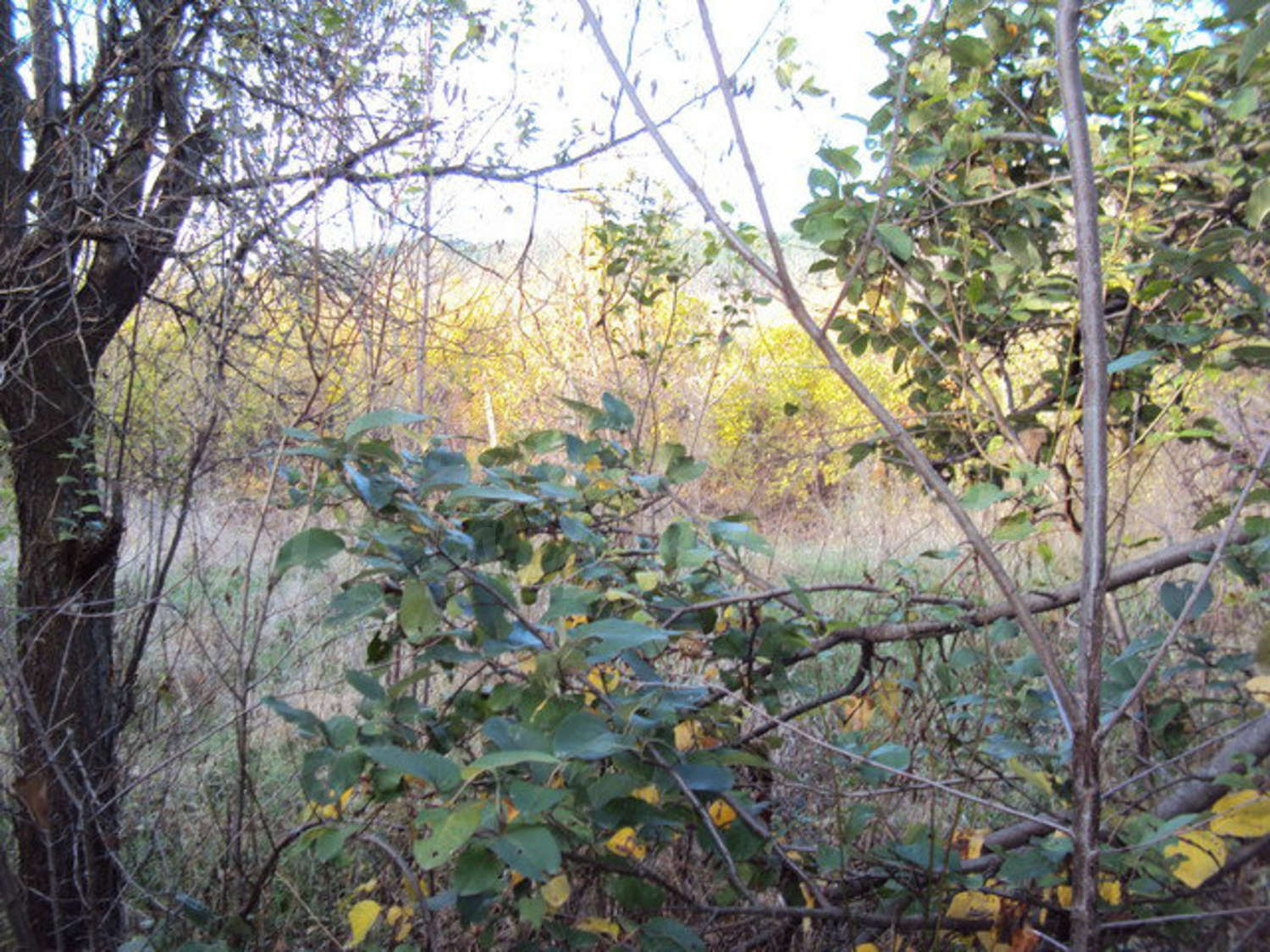 Gallery Picture 31
