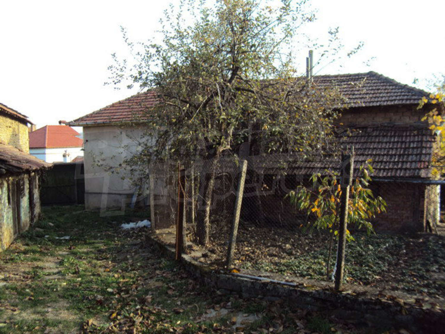 Gallery Picture 7