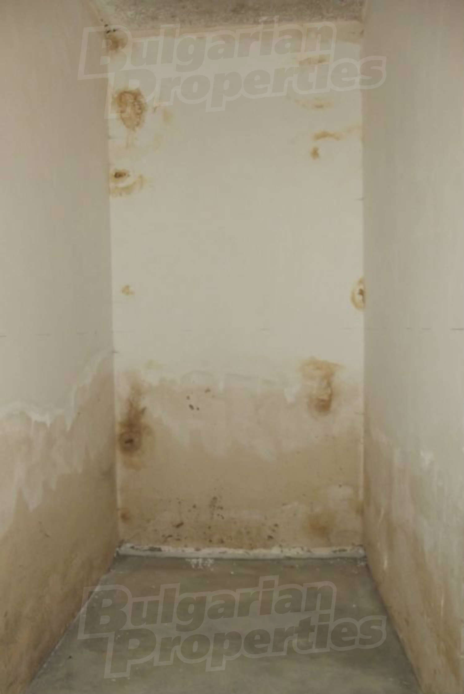 Gallery Picture 11