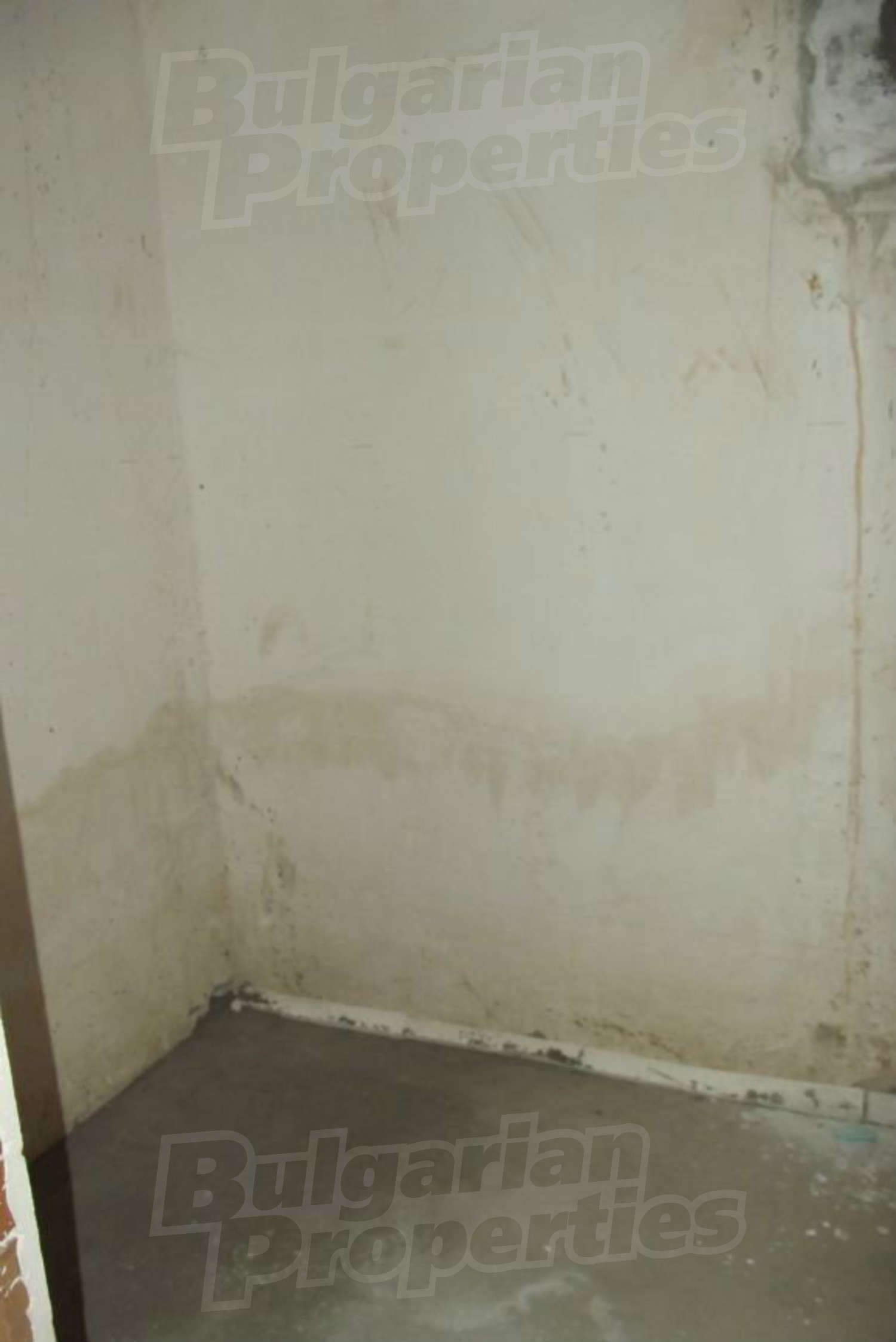 Gallery Picture 19