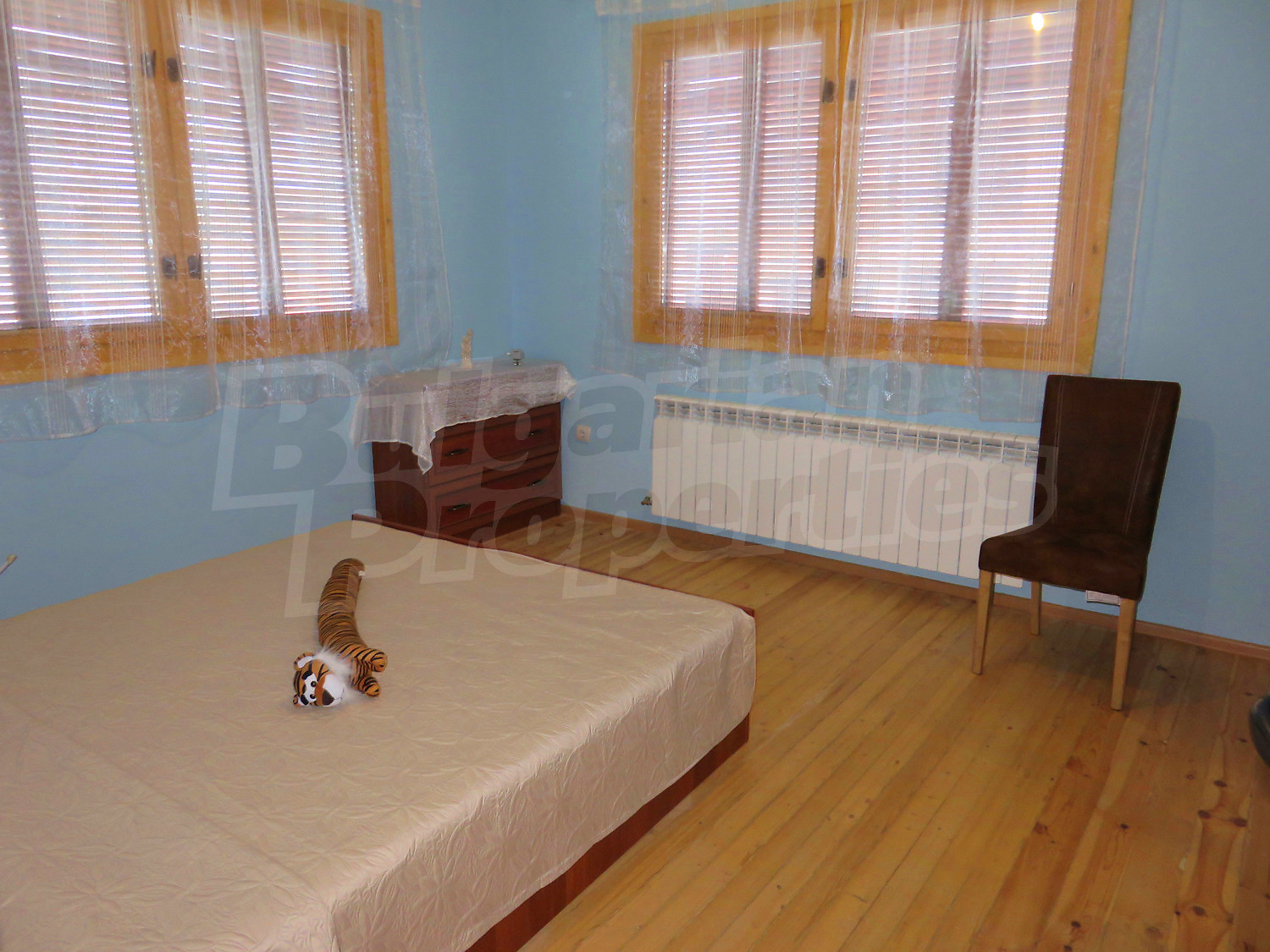 Gallery Picture 24