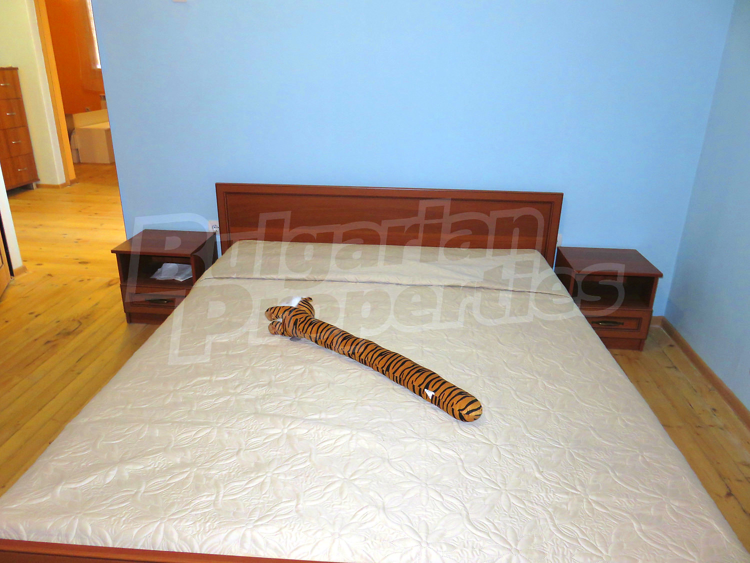 Gallery Picture 26