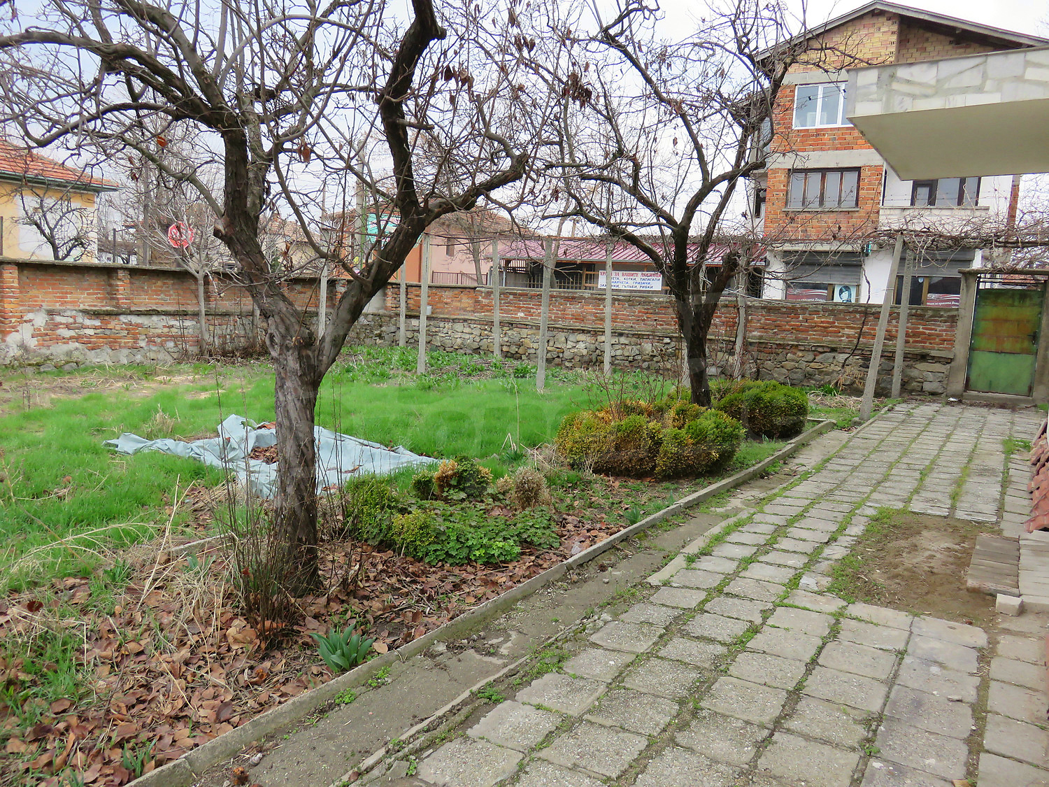 Gallery Picture 53