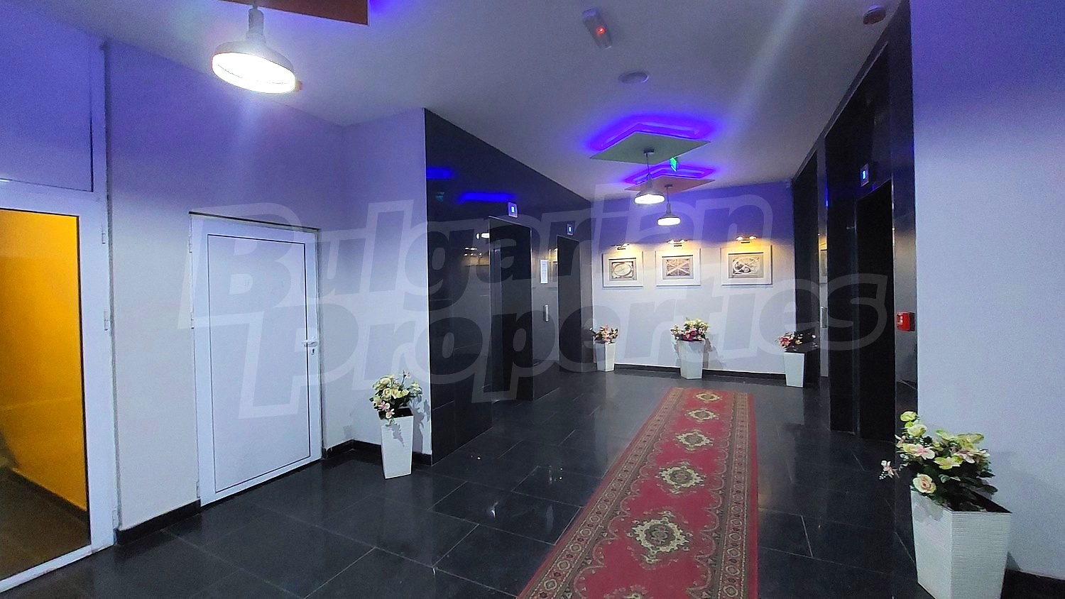 Gallery Picture 10